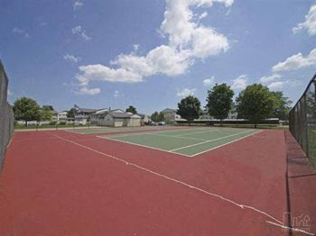 a tennis court with trees in the background